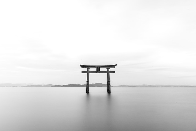 culture and its transformations